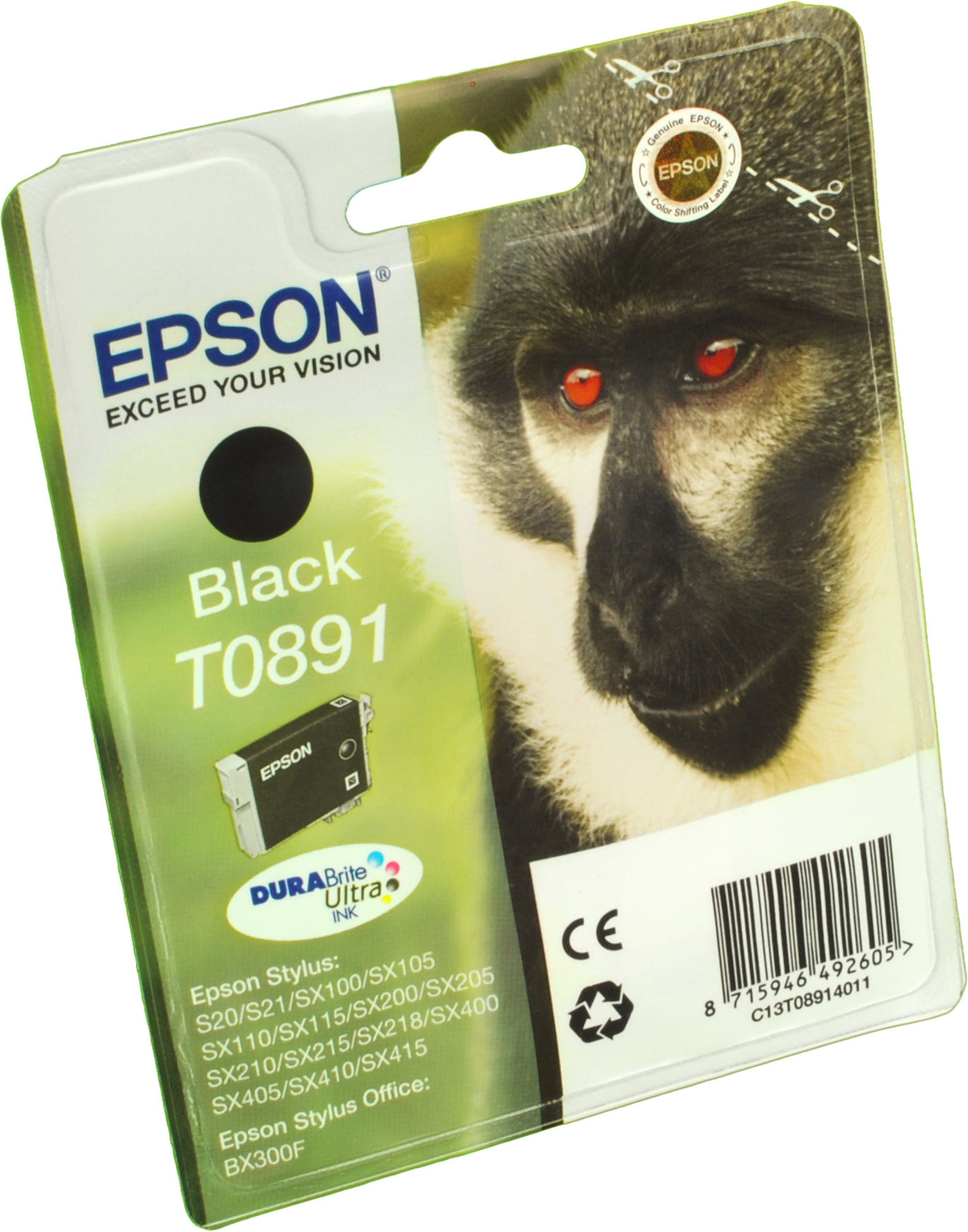 Epson Tinte C13T089140 schwarz T0891