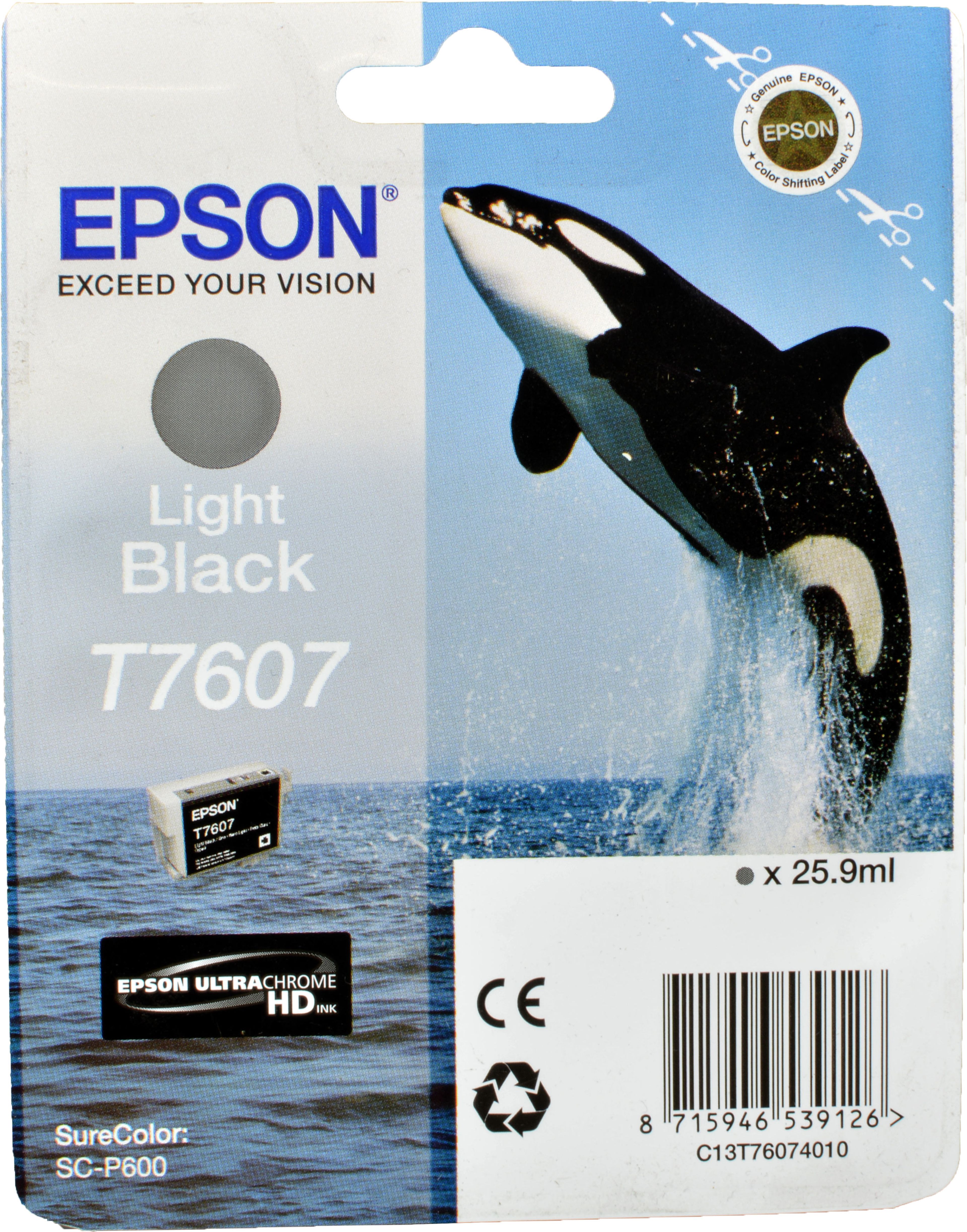 Epson Tinte C13T760740 light black T7607